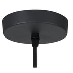 NL83799 Belgium Dome Pendant Graphite