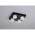 NL82189 Bovan Bathroom LED 4 Light Fixed Ceiling Sand Black