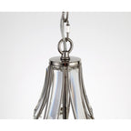 NL81399 Char Teardrop Pendant 1 Light Polished Nickel
