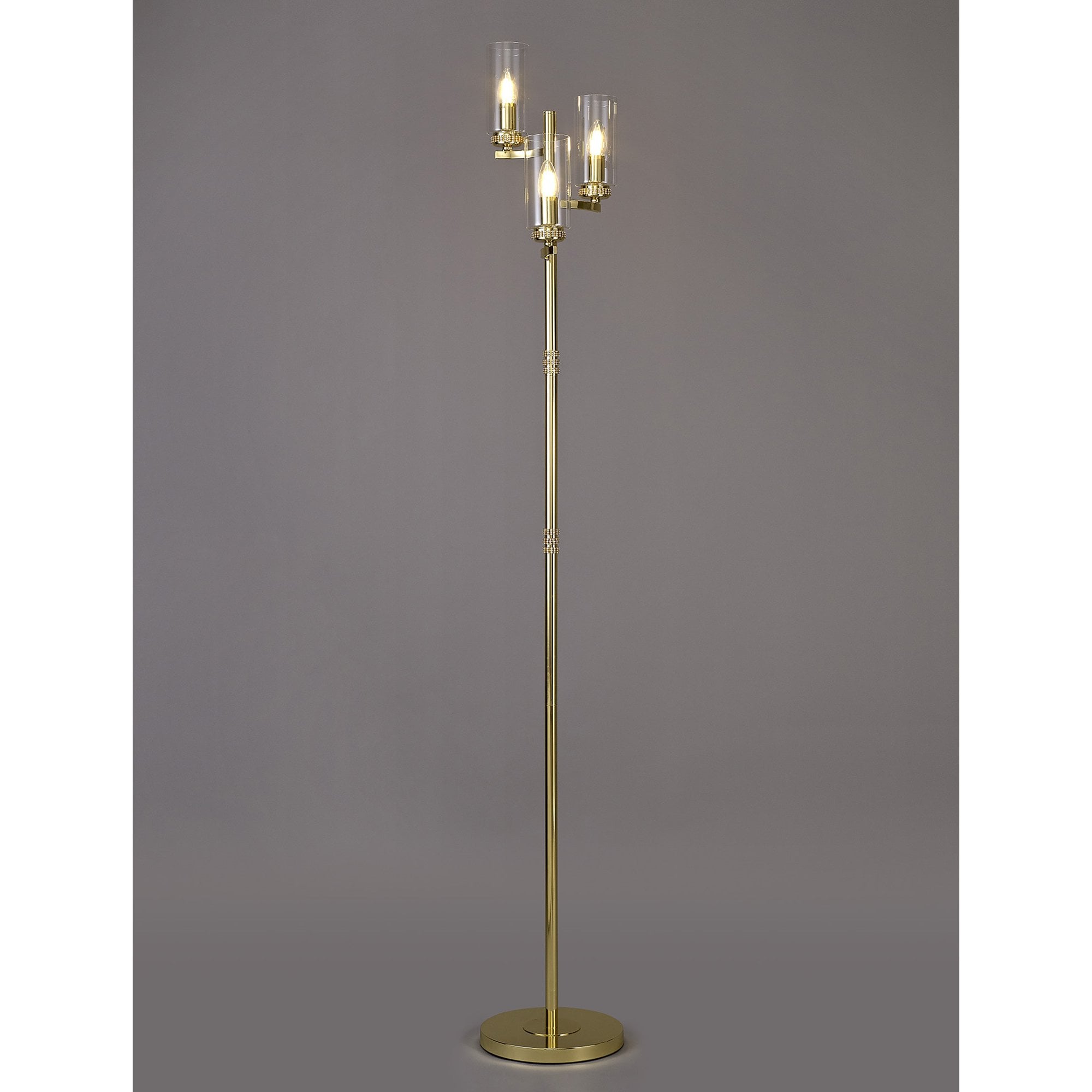 Darling Floor  Lamp Polished Gold