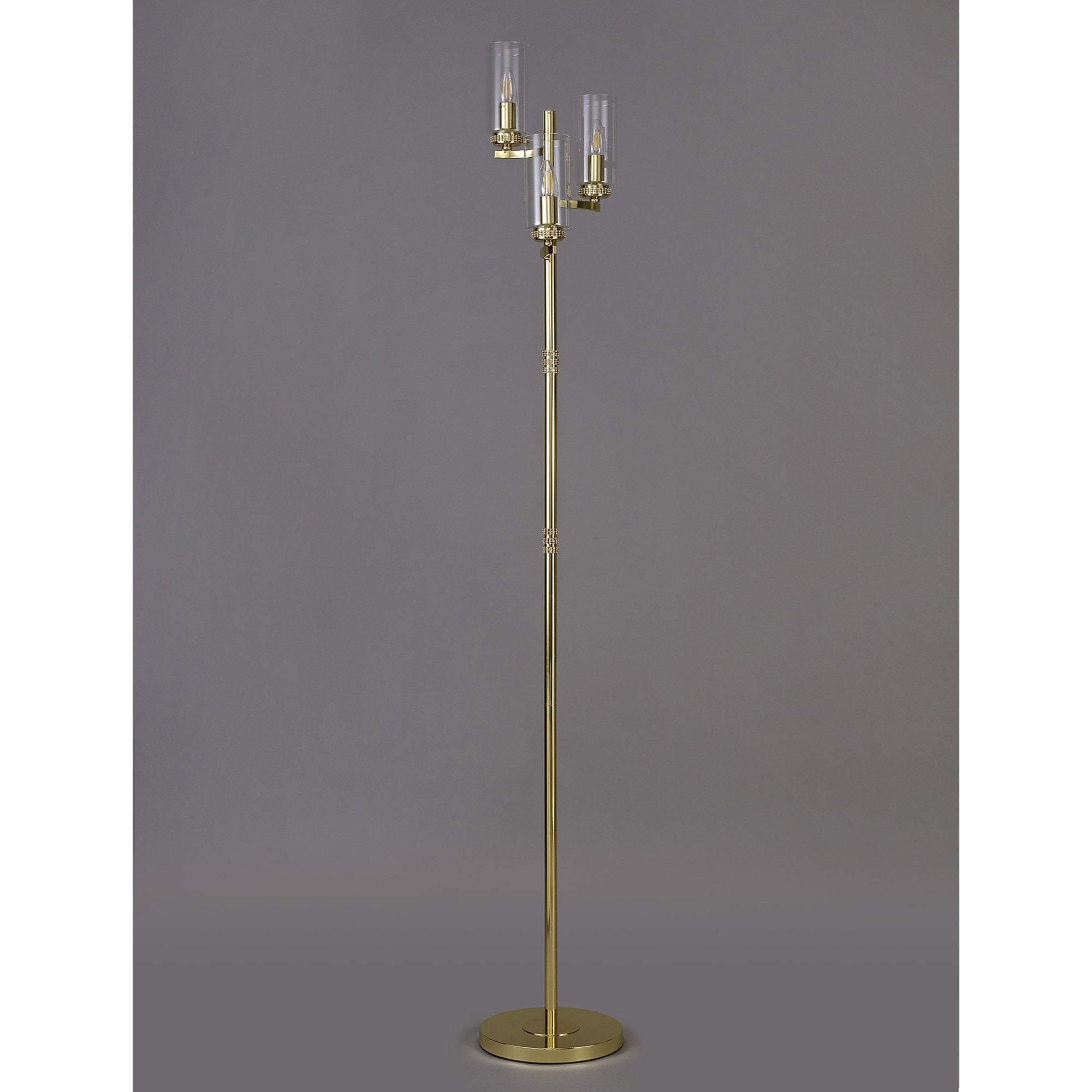 Darling Floor  Lamp Polished Gold