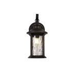 NL75569 Ellen Outdoor Small Wall Lamp 1 Light Antique Bronze/Clear Ripple Glass