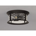NL75599 Ellen Outdoor Flush Ceiling Lamp 2 Light Antique Bronze/Clear Ripple Glass