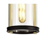 NL75849 Gast Outdoor Pendant 1 Light Black & Gold/Clear Glass