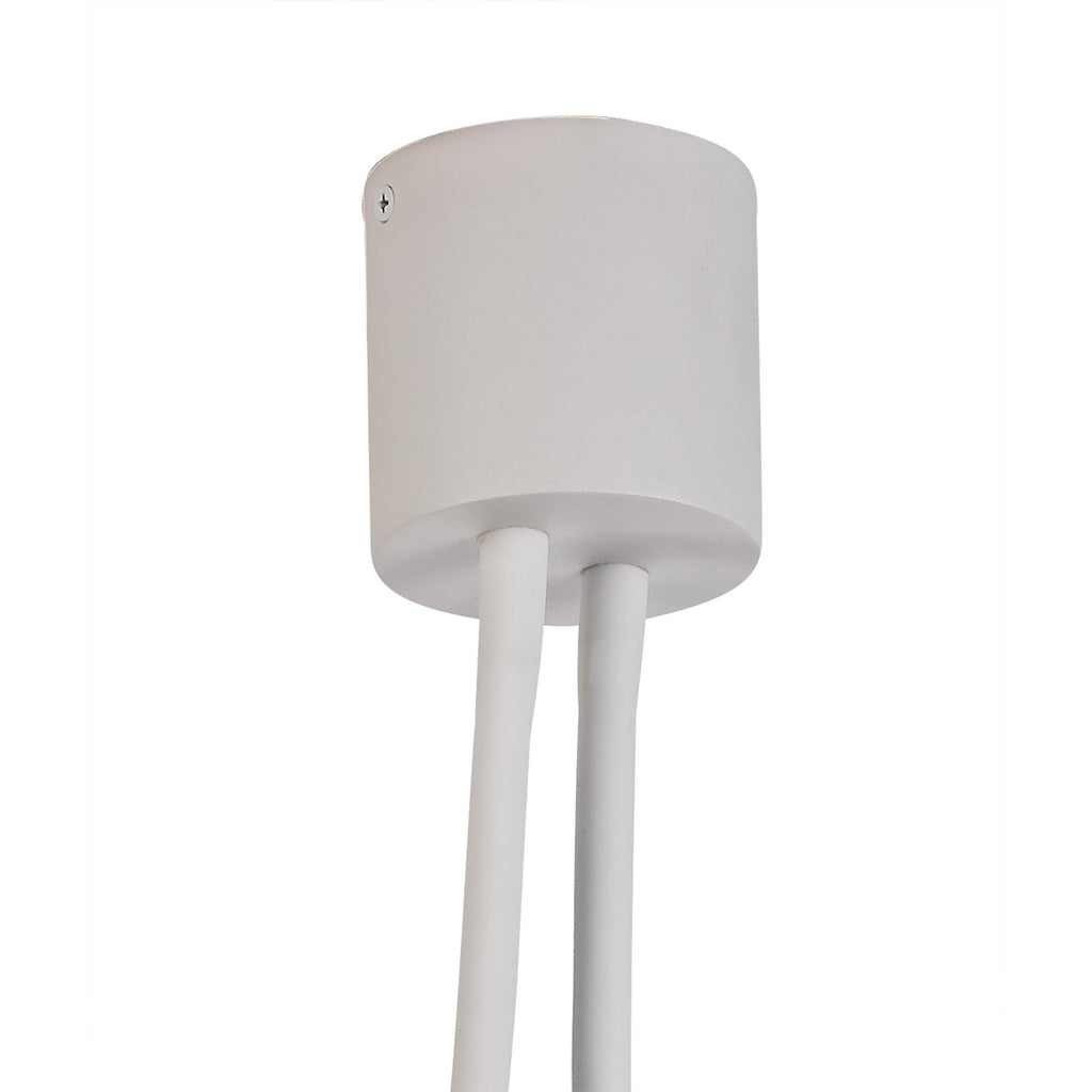 NL76519 Gino Flexible Ceiling 2 Light Satin White/Satin Nickel