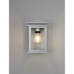 NL75609 Kemel Outdoor Flush Wall Lamp 1 Light Silver Grey/Clear Seeded Glass