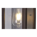 NL75619 Kemel Outdoor Flush Wall Lamp 1 Light Antique Bronze/Clear Seeded Glass