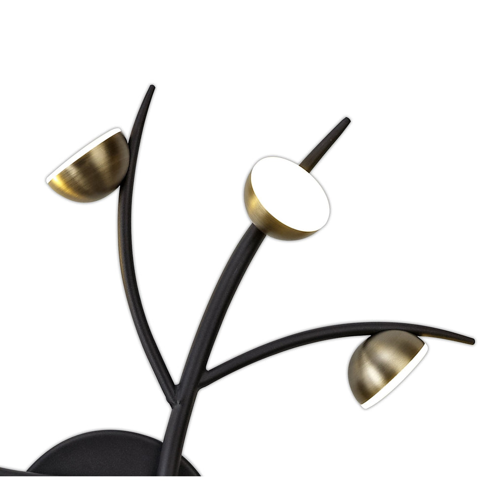 NL71779 Kingly 12 Light Semi-Flush LED Black/Antique Brass