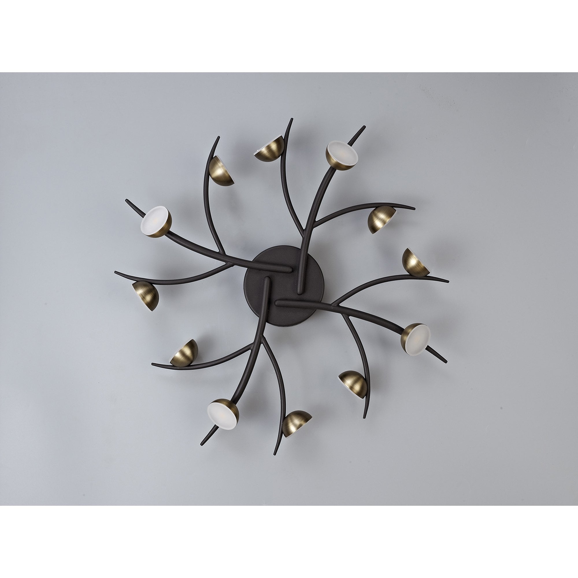 NL71779 Kingly 12 Light Semi-Flush LED Black/Antique Brass