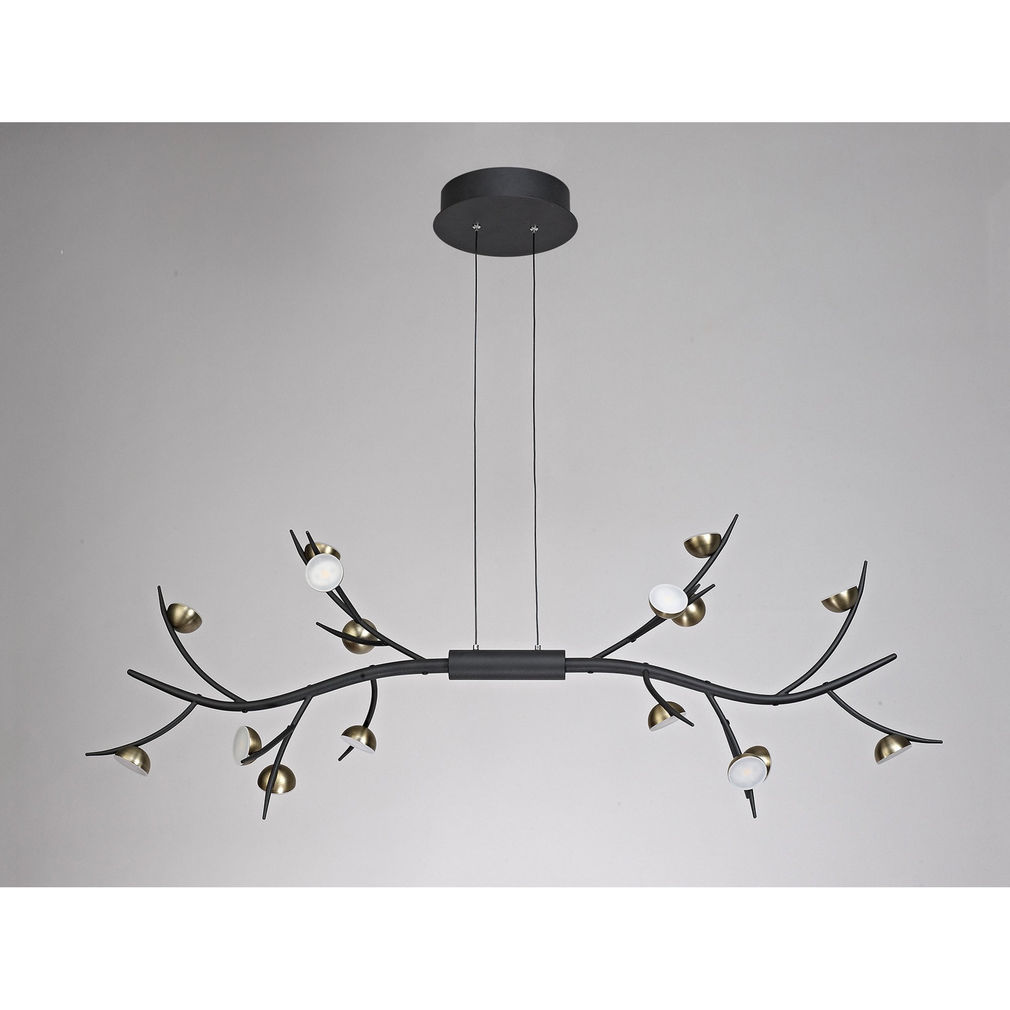 NL71799 Kingly 16 Light Linear Pendant LED Black/Antique Brass