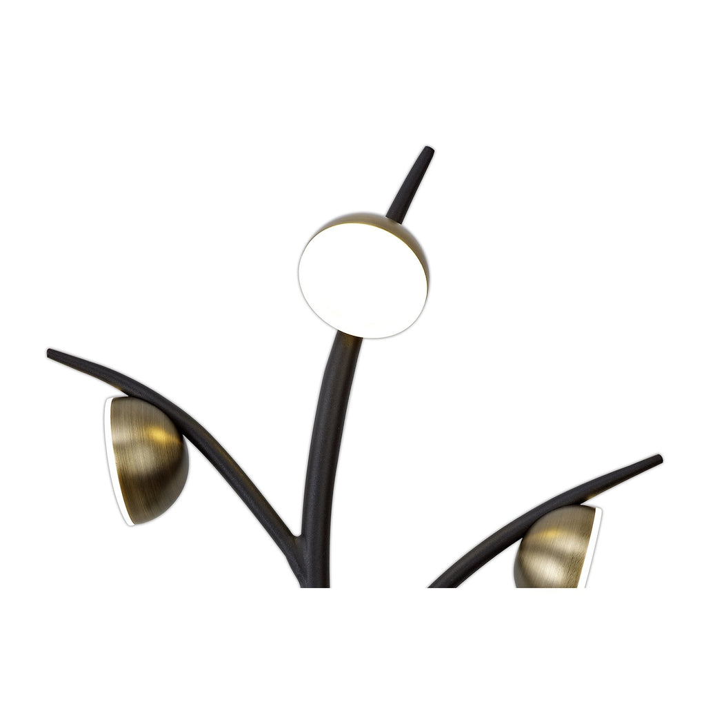 NL71819 Kingly 3 Light Wall Lamp LED Black/Antique Brass