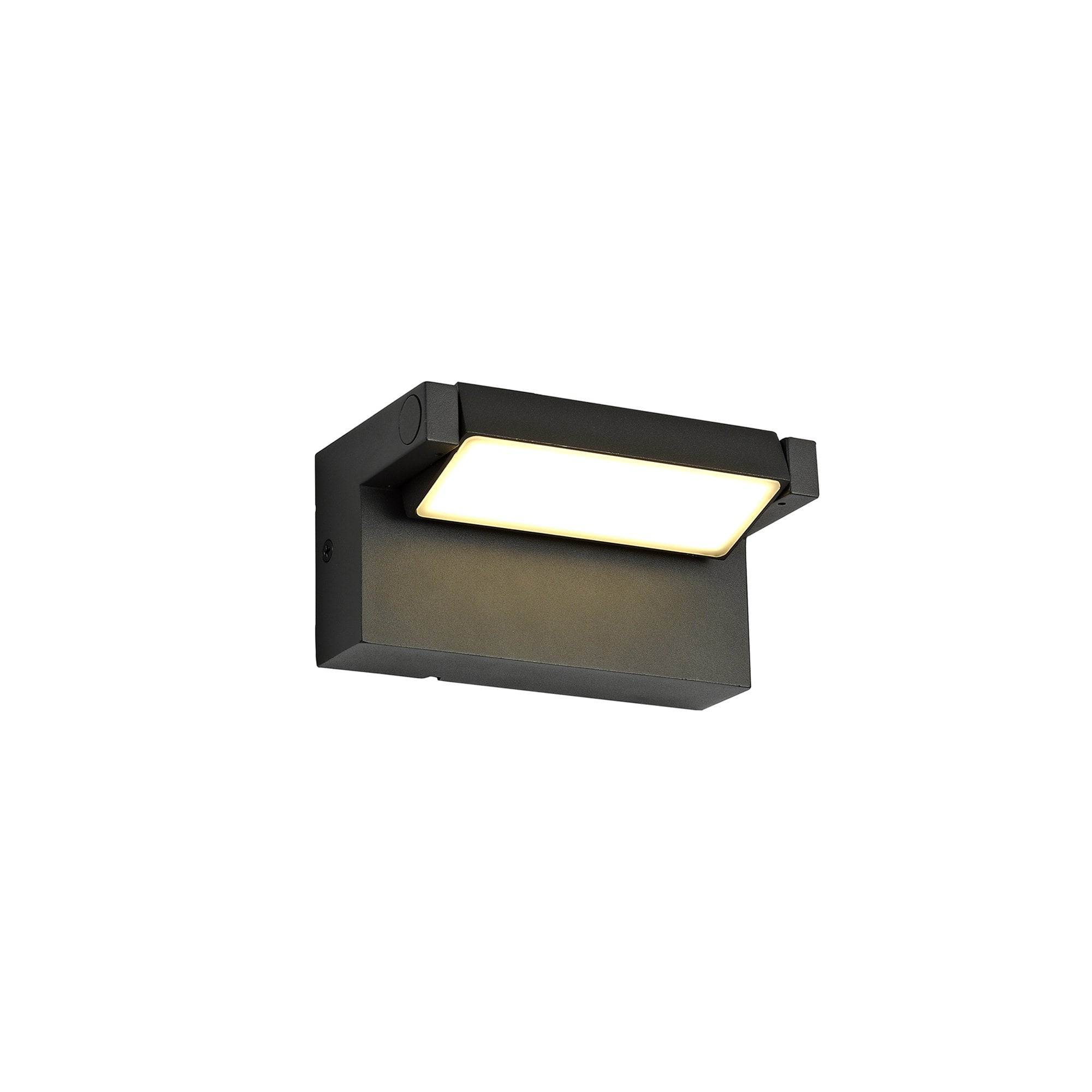 NL71849 Lucia Outdoor Wall Lamp Adjustable LED Graphite Black