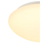 NL77549 Lima Bathroom Ceiling  Light LED White/Frosted Glass