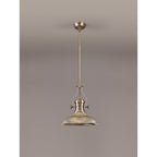 NLK01159 Louis 1 Light Telescopic Pendant With 30cm Round Glass Shade Antique Brass/Smoked