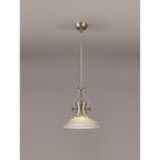 NLK01169 Louis 1 Light Telescopic Pendant With 30cm Round Glass Shade Antique Brass/Clear