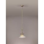 NLK01169 Louis 1 Light Telescopic Pendant With 30cm Round Glass Shade Antique Brass/Clear