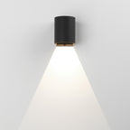 1384003 Dunbar 100 LED Outdoor Wall Light Textured Black