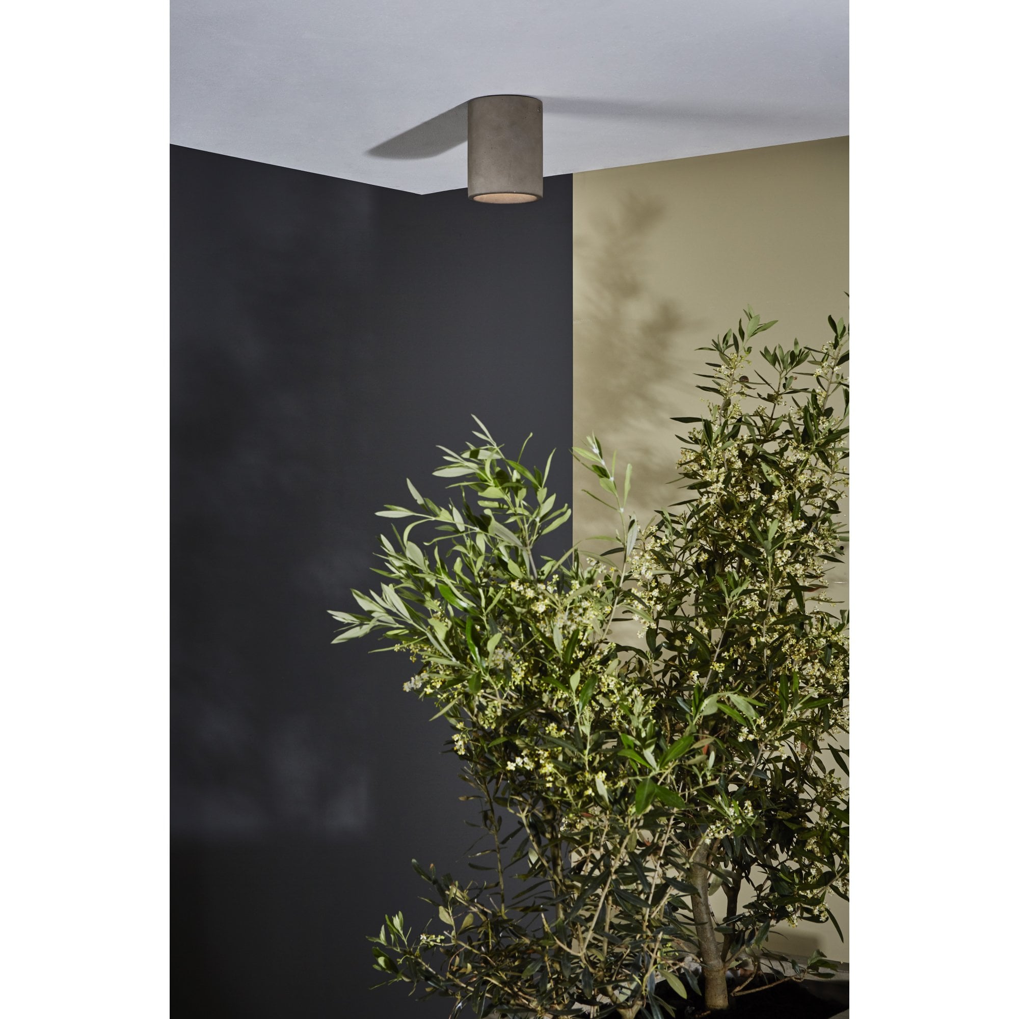 1326014 Kos Round Outdoor Coastal Downlight/Recessed Spot Light Matt Concrete