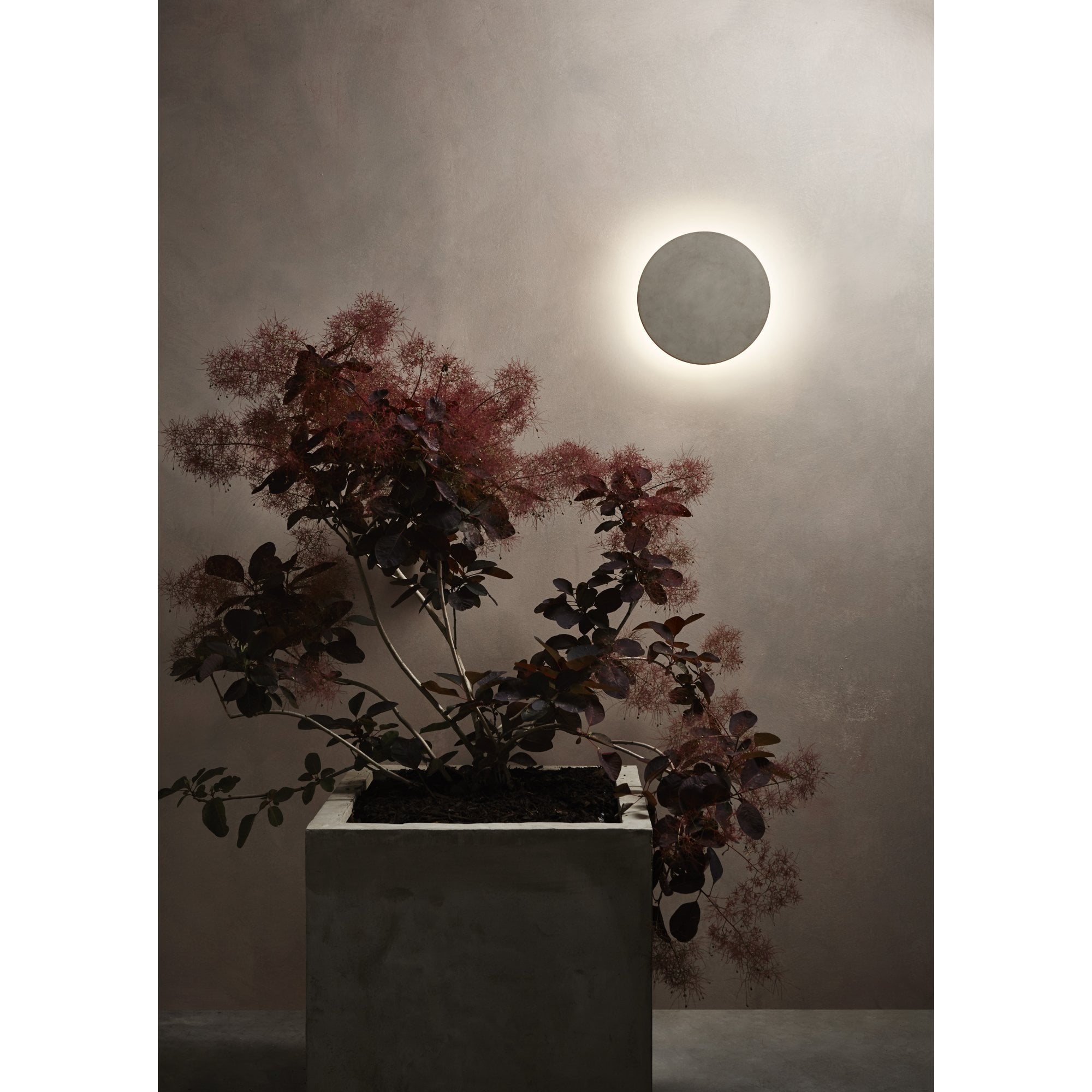 Eclipse Round 300LED Outdoor Coastal Wall  Light Matt Concrete