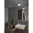 1038005 Denver Bathroom Ceiling Light Matt Black