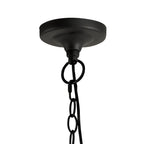 NL71189 Mateo Outdoor Pendant 1 Light Graphite Black