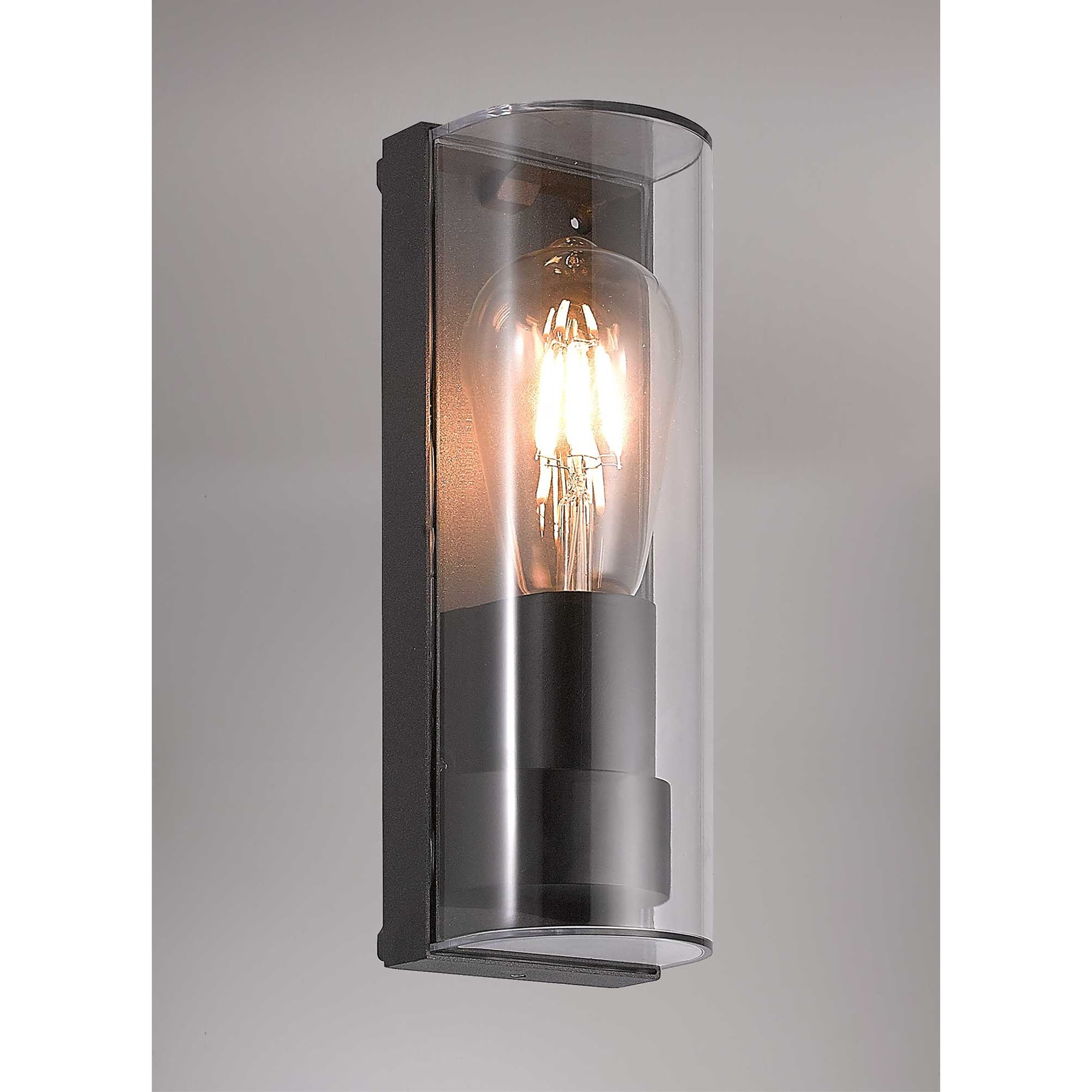 Maximus Outdoor Wall  Lamp Curved 1 Light Anthracite