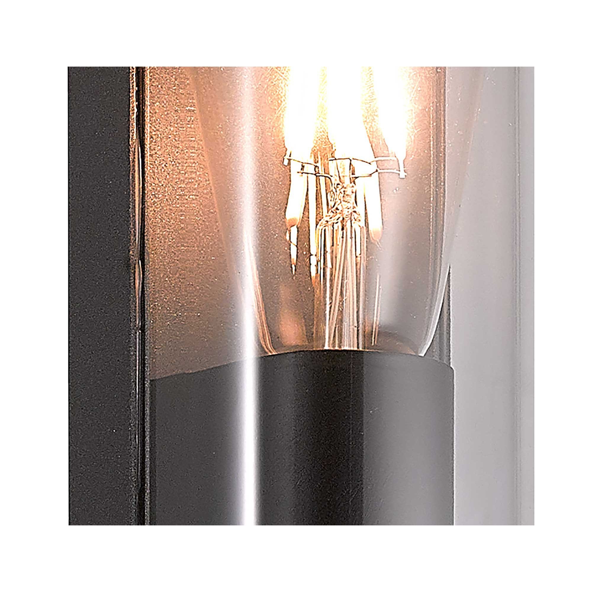 Maximus Outdoor Wall  Lamp Curved 1 Light Anthracite