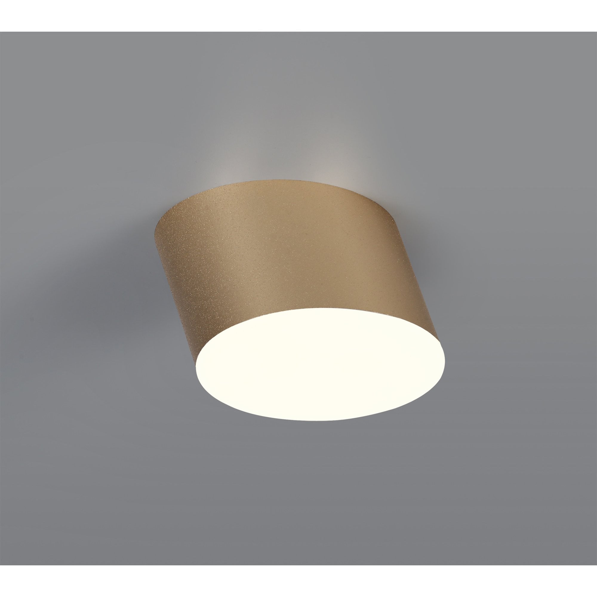 NL73869 Pluto Spot Light 10.5cm Round 1x 10W LED Satin Gold