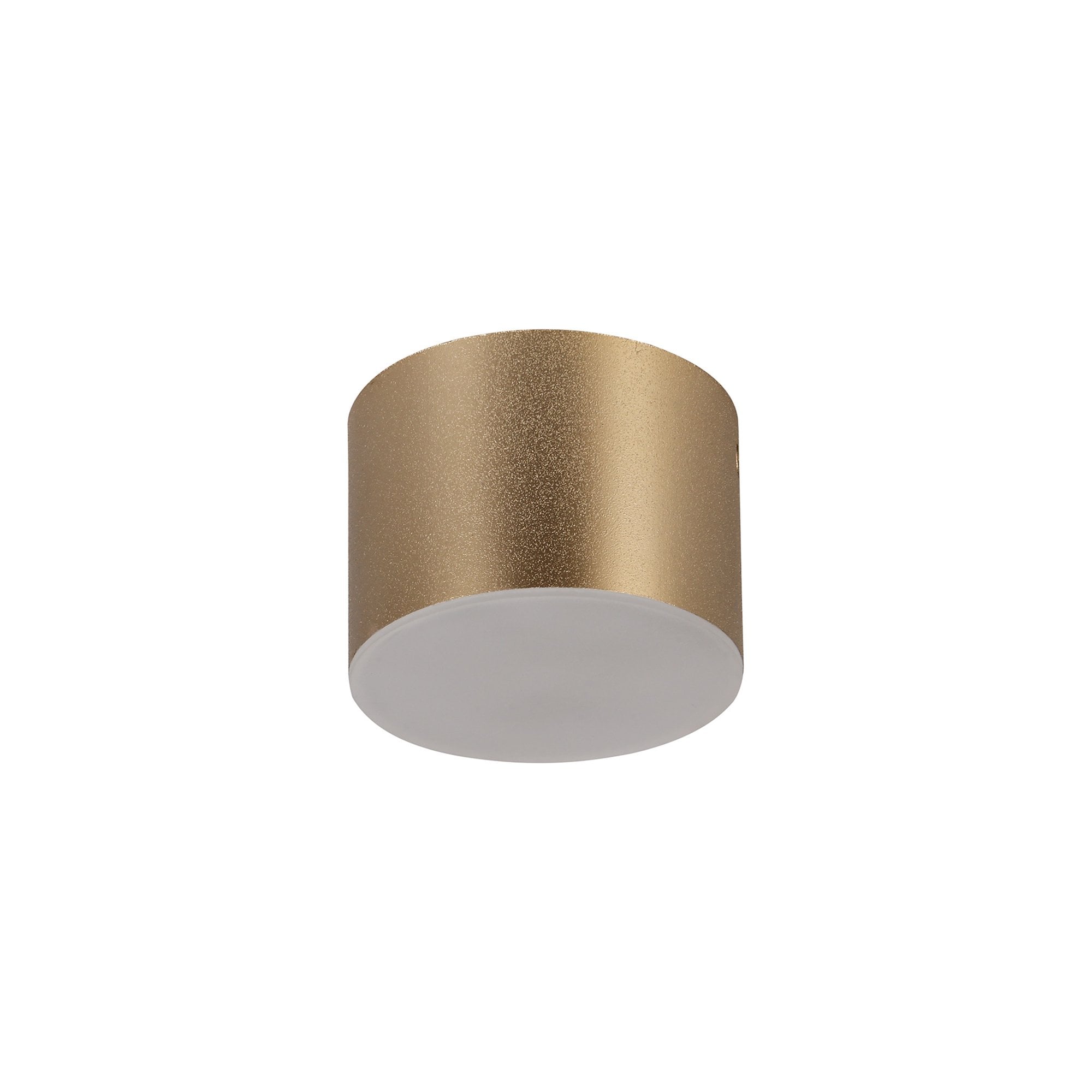 NL73869 Pluto Spot Light 10.5cm Round 1x 10W LED Satin Gold