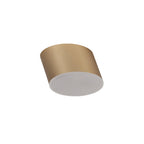 NL73869 Pluto Spot Light 10.5cm Round 1x 10W LED Satin Gold