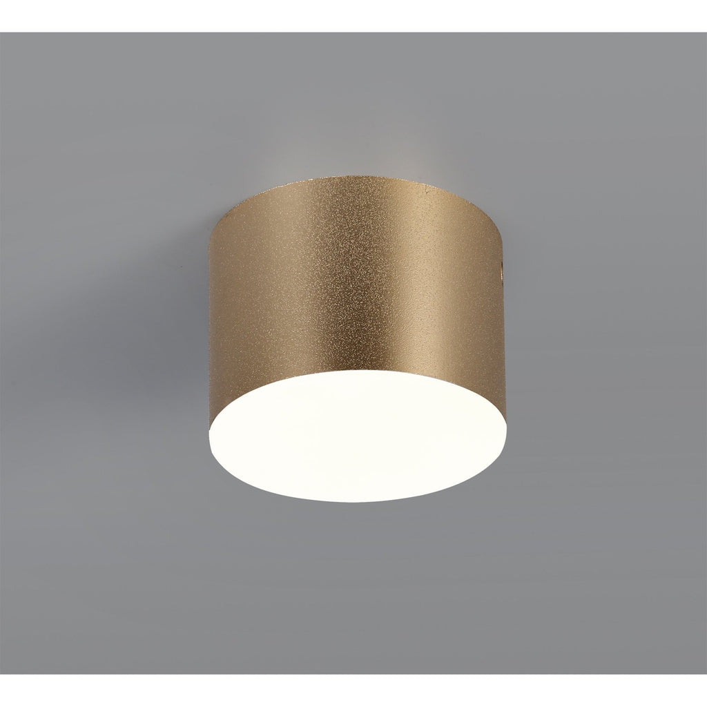 NL73869 Pluto Spot Light 10.5cm Round 1x 10W LED Satin Gold