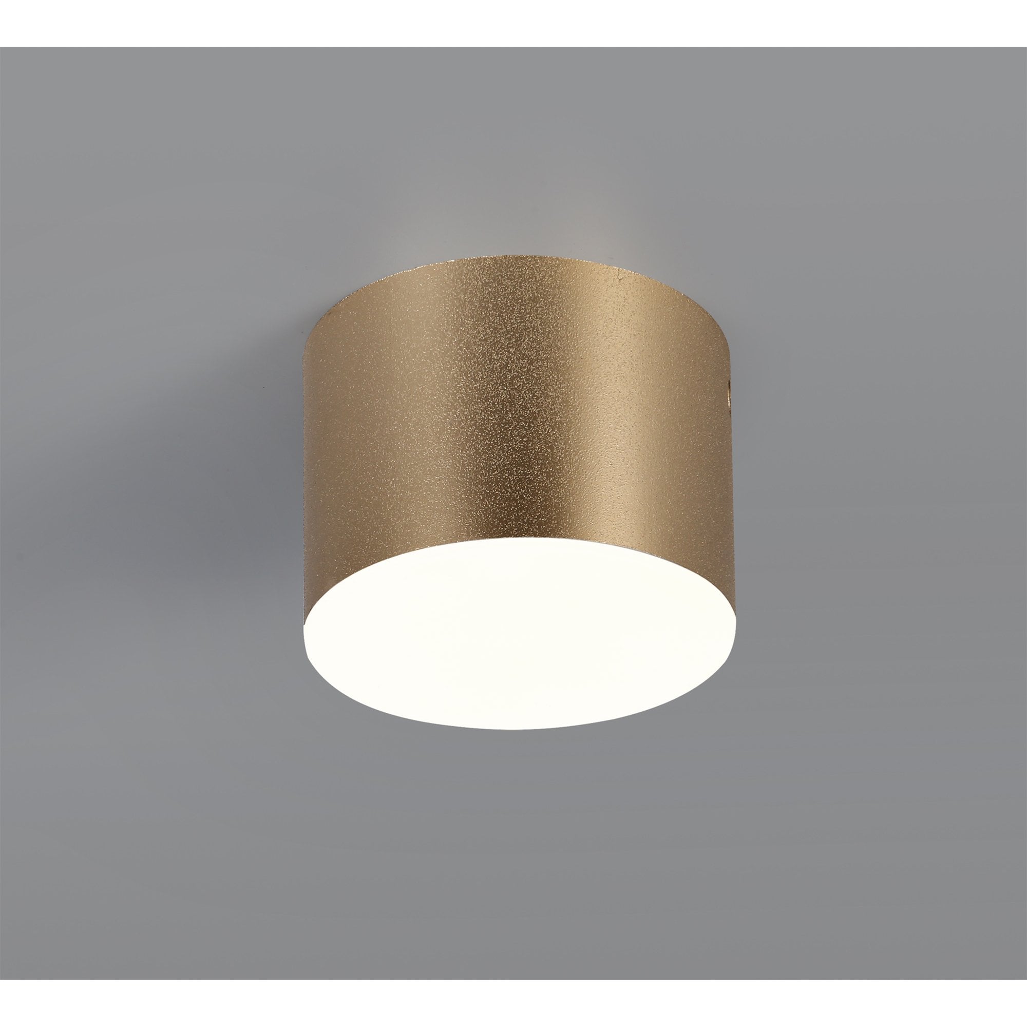 NL73869 Pluto Spot Light 10.5cm Round 1x 10W LED Satin Gold