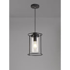 NL75859 Riannon Single Pendant 1 Light Black/Clear Glass