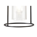 NL75859 Riannon Single Pendant 1 Light Black/Clear Glass