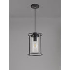 NL75859 Riannon Single Pendant 1 Light Black/Clear Glass