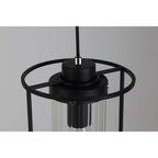 NL75859 Riannon Single Pendant 1 Light Black/Clear Glass