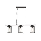 NL75869 Riannon Linear Pendant 3 Light Black/Clear Glass