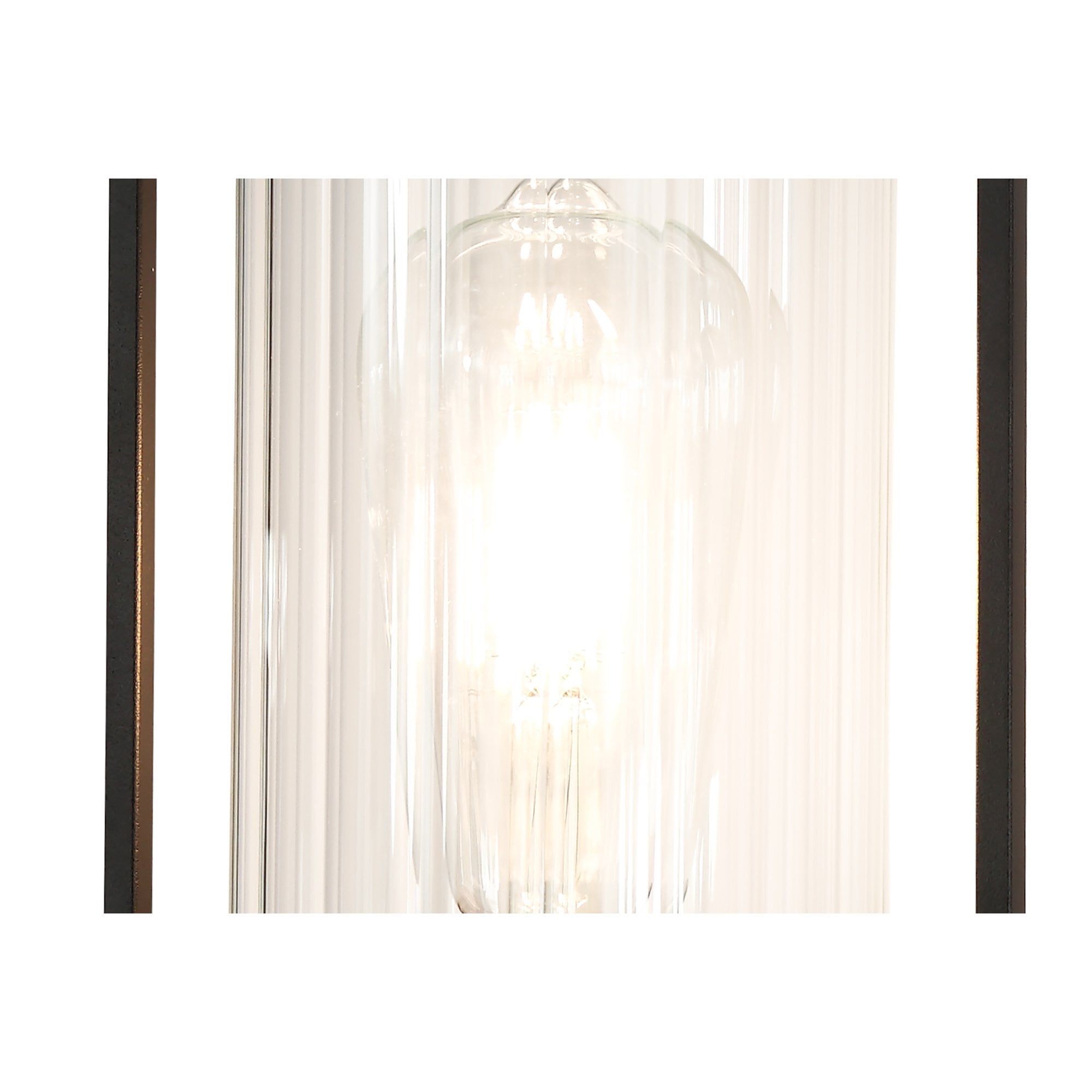 NL75879 Riannon Wall  Light 1 Light Black/Clear Glass