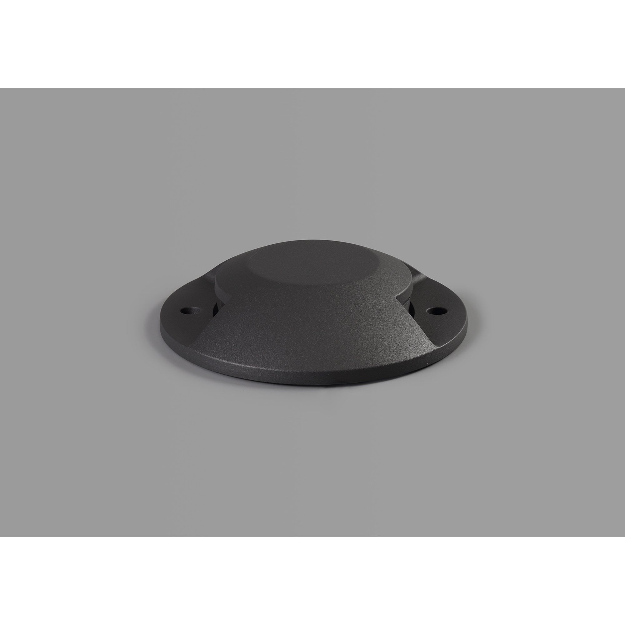 Rode Inground Driveover 2 Light LED Anthracite