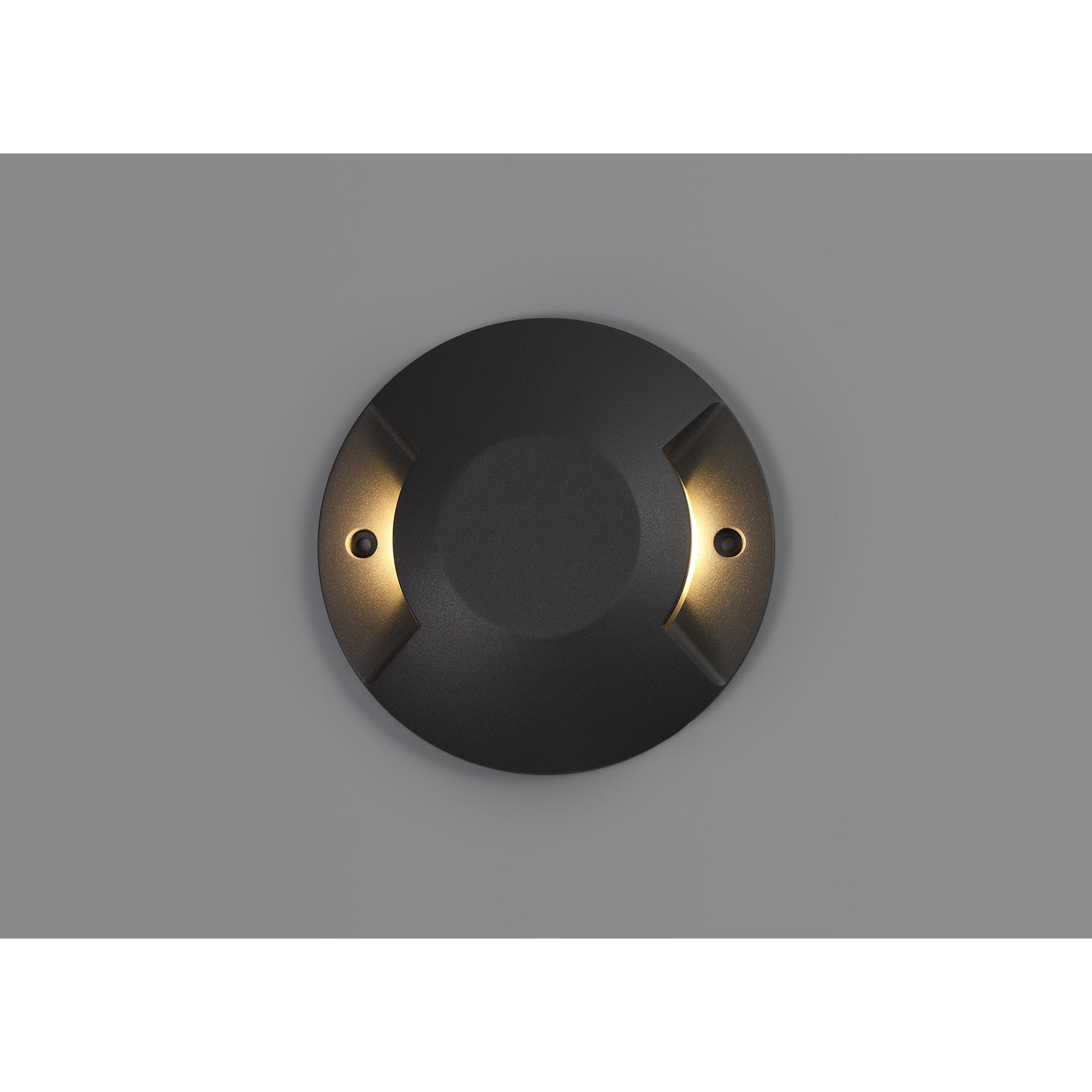 Rode Inground Driveover 2 Light LED Anthracite