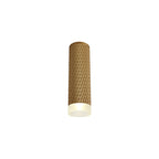 NLK01719 Stockholm 1 Light 20cm Surface Mounted Ceiling Champagne Gold/Acrylic Ring