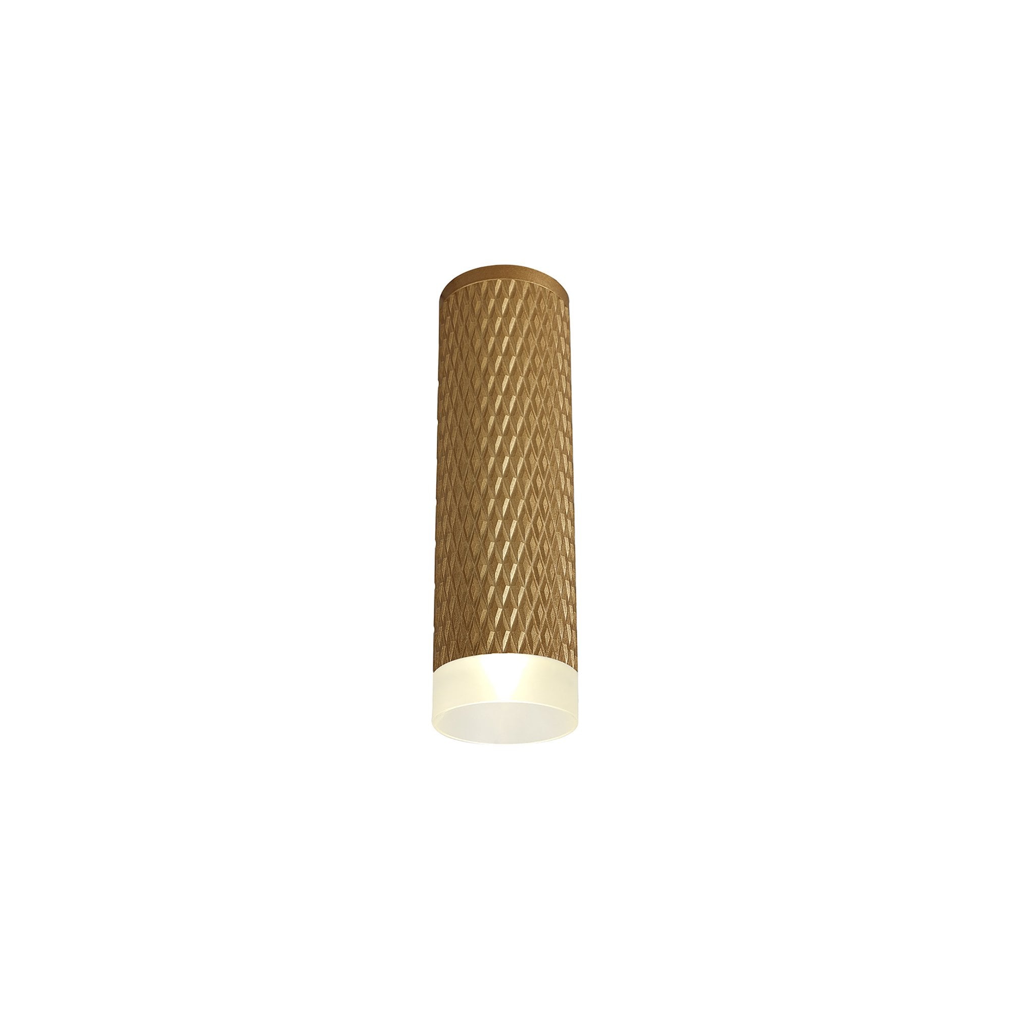 NLK01719 Stockholm 1 Light 20cm Surface Mounted Ceiling Champagne Gold/Acrylic Ring