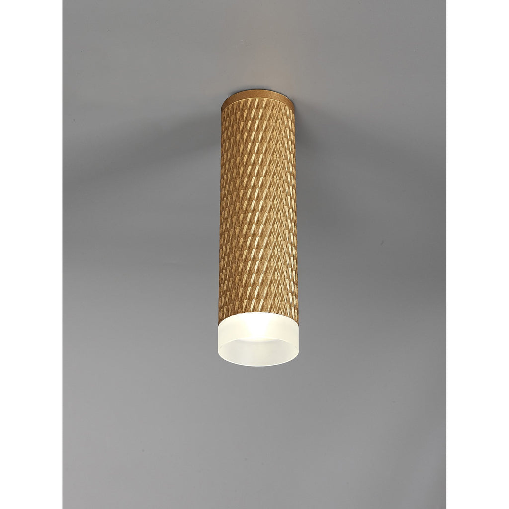 NLK01719 Stockholm 1 Light 20cm Surface Mounted Ceiling Champagne Gold/Acrylic Ring