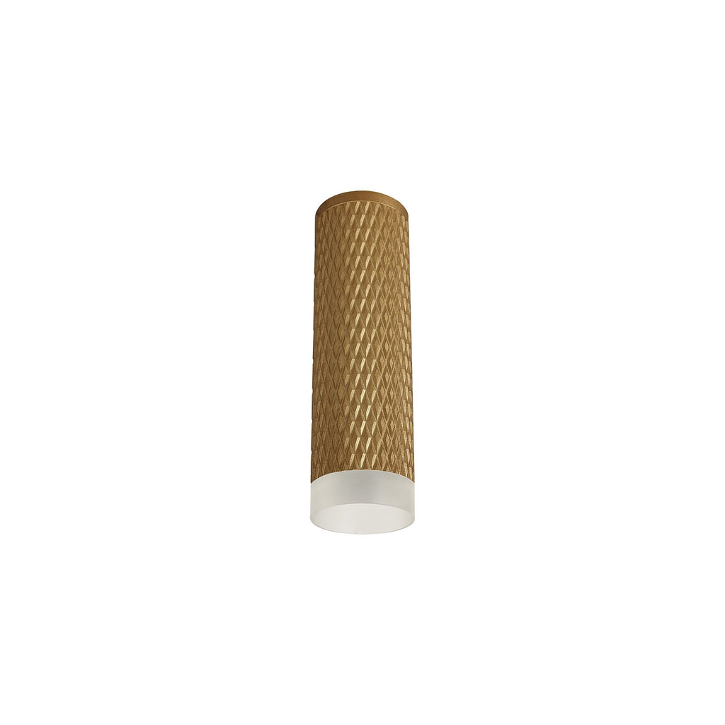 NLK01719 Stockholm 1 Light 20cm Surface Mounted Ceiling Champagne Gold/Acrylic Ring