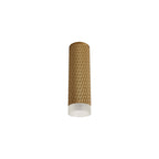NLK01719 Stockholm 1 Light 20cm Surface Mounted Ceiling Champagne Gold/Acrylic Ring