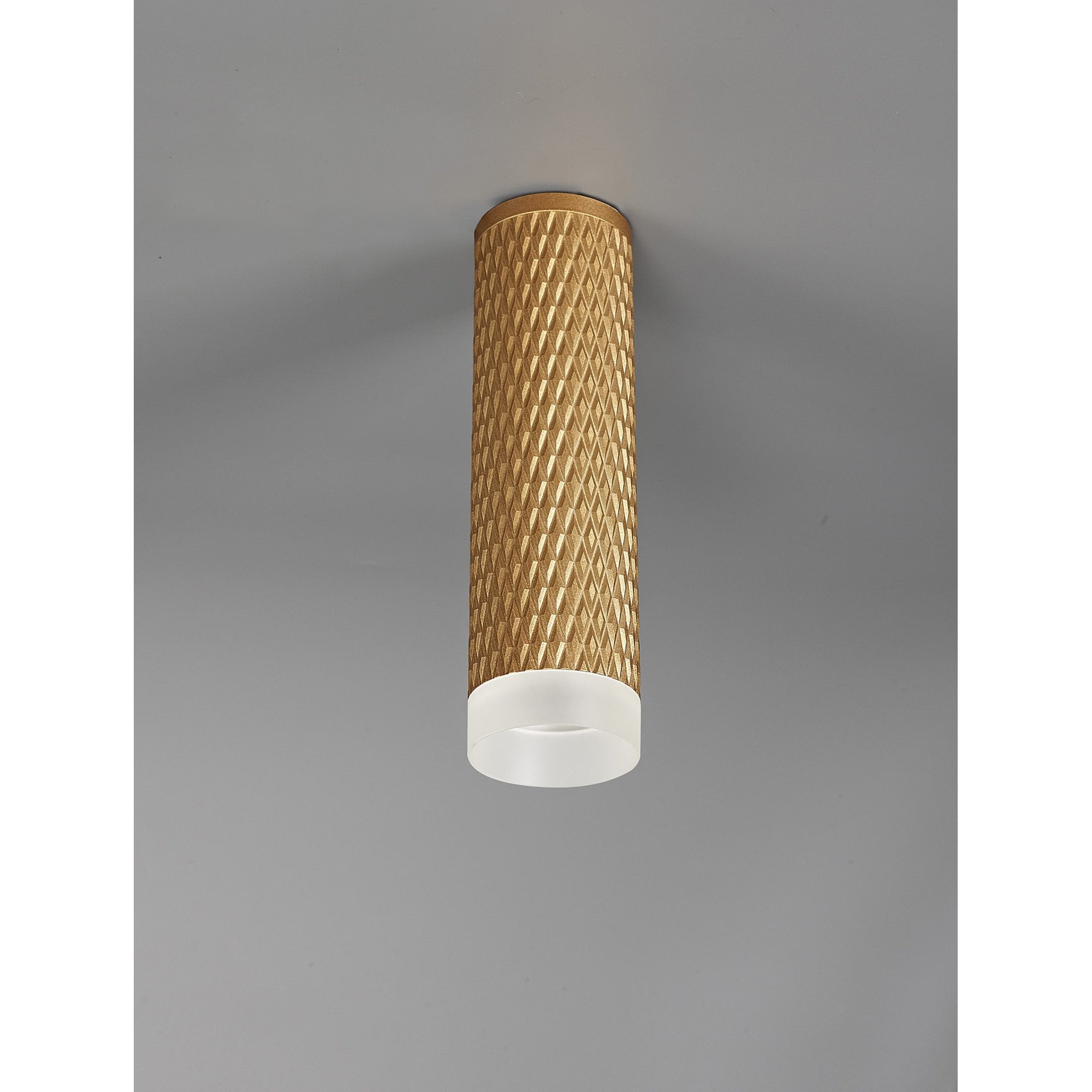 NLK01719 Stockholm 1 Light 20cm Surface Mounted Ceiling Champagne Gold/Acrylic Ring