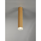 NLK01759 Stockholm  1 Light 30cm Surface Mounted Ceiling Champagne Gold/Acrylic Ring