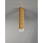 NLK01759 Stockholm  1 Light 30cm Surface Mounted Ceiling Champagne Gold/Acrylic Ring