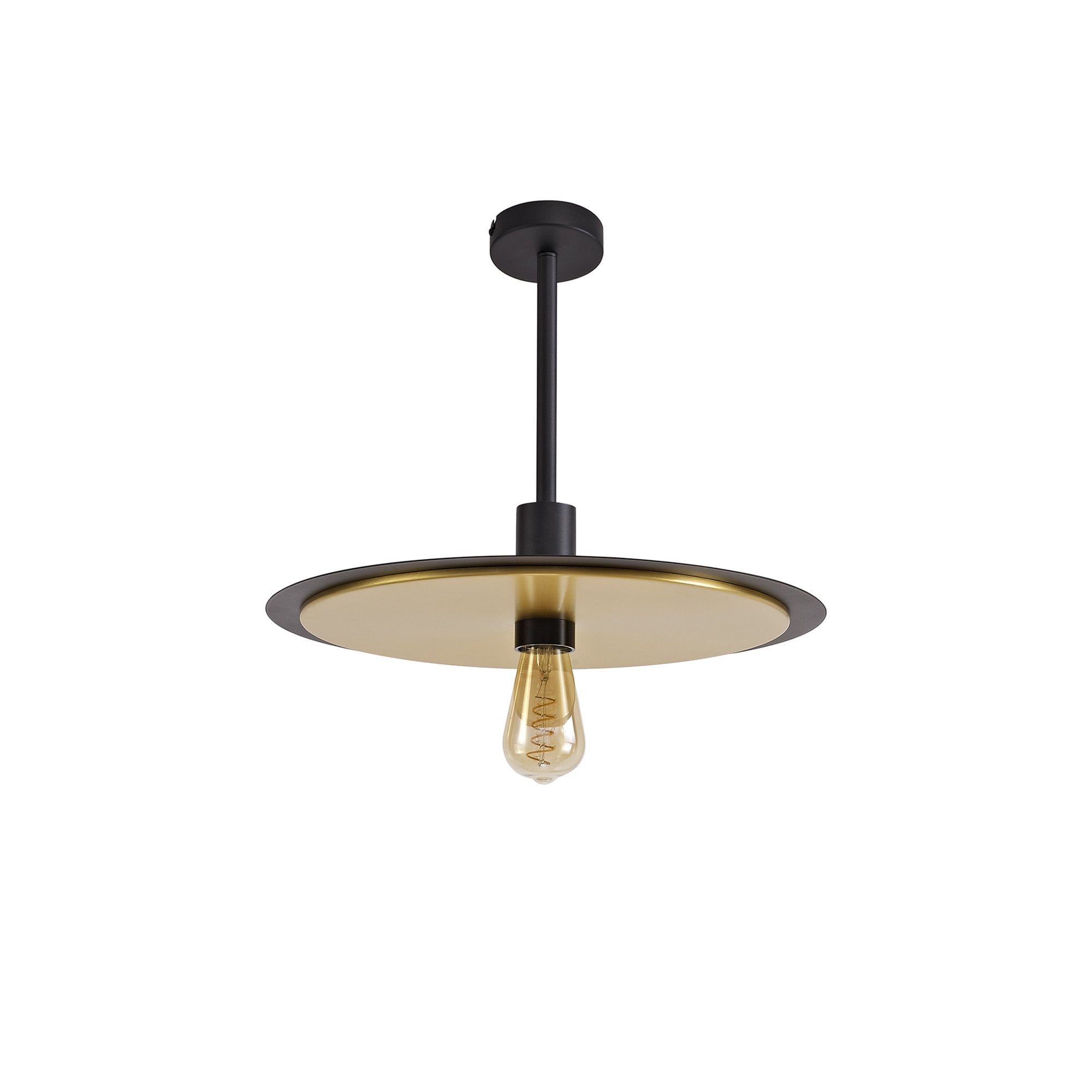 NL75679 Tazzy Single 3In1 Ceiling Flush Semi-Fush & Pendant  Light Black/Gold