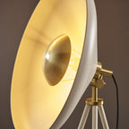 96563 1 Light Floor Lamp Warm White & Brushed Brass Plate